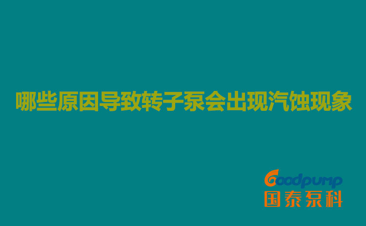 哪些原因導致轉子泵會出現汽蝕現象